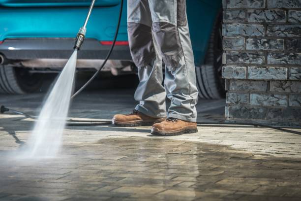 Best Roof Cleaning and Mildew Removal in Rock Creek, MN